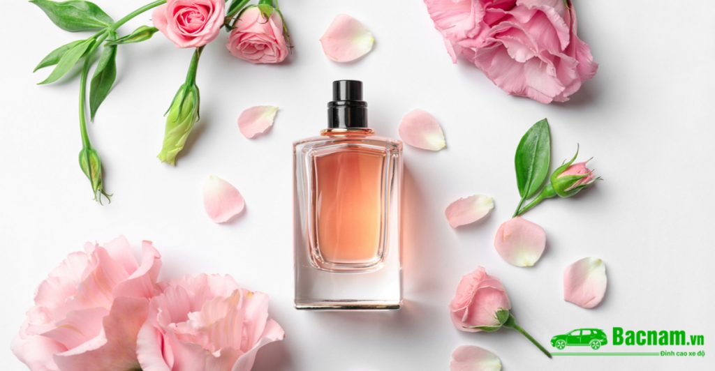 Nội thất ô tô Thái Anh Vĩnh Phúc